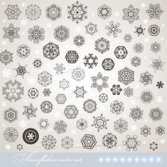 snowflake set N33