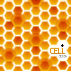 Vector honey bee's cells