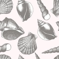 Hand drawn seamless pattern with sea shell N2