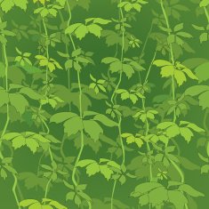 Leaves Seamless tropical texture