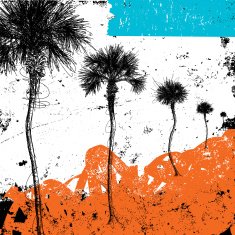 palm tree row N2