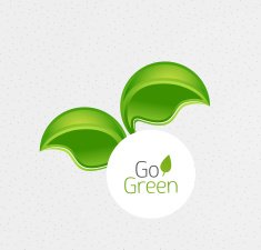 Green leaf modern concept N2