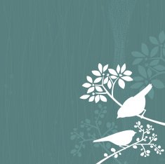 Birds Teal Background N2
