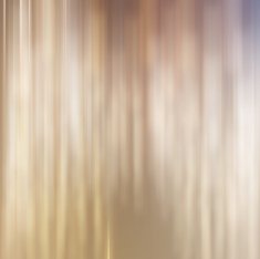 Elegant beige background N2