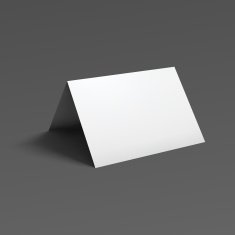 Blank fold paper brochure N2
