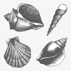 Hand drawn seamless pattern with sea shell in pastel colors N2