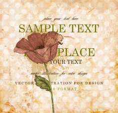 Vintage Flower Design N3