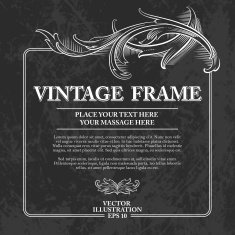Vintage Frame Vector Illustration N13