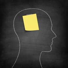 Human Head on Blackboard - Chalkboard N2