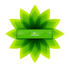 Vector abstract green flower background N2