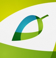 Green leaf vector concept N2