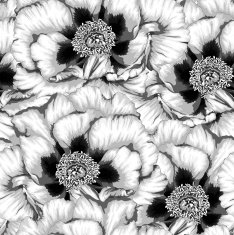 seamless background with flowers peony N2