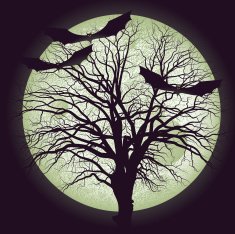 Night Of Full Moon N2