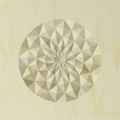 Abstract textured wooden carving