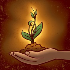 Nurturing Growth