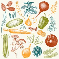 Colored food drawings