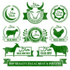 Halal Organic Meat and Poultry Grunge vector icon set