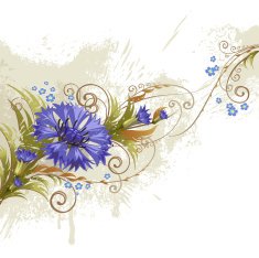 Cornflower N2