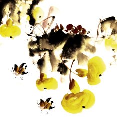 Birds N131