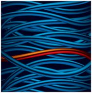 Red Wire N2