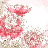 Romantic vector background with peony N2