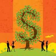 Looking at the money tree N2