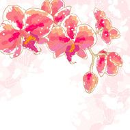 Branch of orchids on white background N2