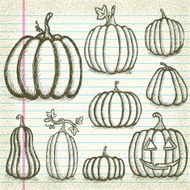 Set of Hand-Drawn Pumpkins on Old Paper N2