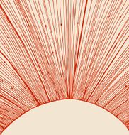 Vector background with red sun rays