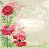 Red poppies N13