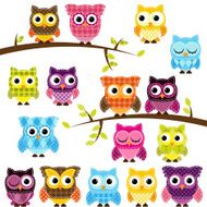 Vector Set of Patchwork Or Quilt Style Owls and Branches