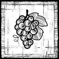 Retro grapes bunch black and white