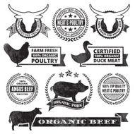 Organic Meat Poultry Grunge Black and White vector icon set
