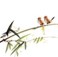 Chinese painting with birds