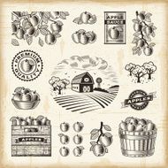 Vintage apple harvest set