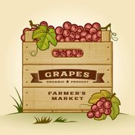 Retro crate of grapes