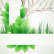 nature background N38