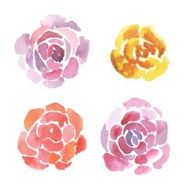 Watercolor abstract roses set