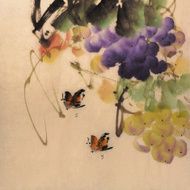Birds N135