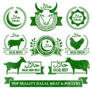 Halal Organic Meat and Poultry Grunge vector icon set N2