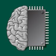 DigitHalf brain