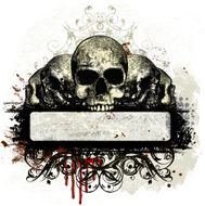 Skull Banner