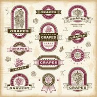 Vintage grapes labels set