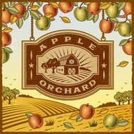 Apple Orchard N5