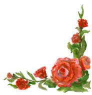 roses angular pattern