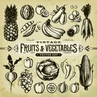 Vintage Fruits &amp; Vegetables Set