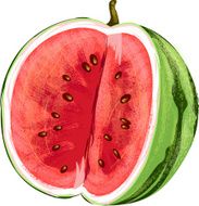 Watermelon Fruit N9