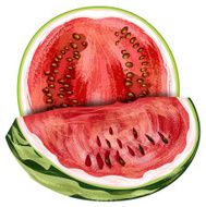 Watermelon Fruit N10