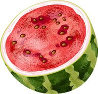 Watermelon Fruit N13