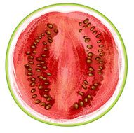 Watermelon Fruit N15